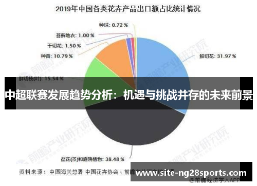 中超联赛发展趋势分析：机遇与挑战并存的未来前景